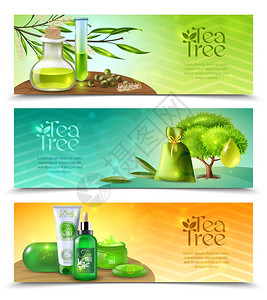 液晶广告机茶树水平横幅三个水平现实横幅与茶树油天然机化妆品隔离白色背景矢量插图插画