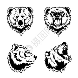 熊头手绘版画手绘墨水雕刻集四个熊头同的角度情绪隔离白色背景矢量插图图片