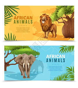 非洲大草原狩猎动物水平横幅野生动物水平横幅与大象狮子符号非洲树木背景卡通矢量插图插画