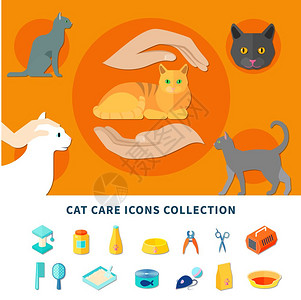 宠物护理图标宠物护理配件猫图标收集平孤立矢量插图图片