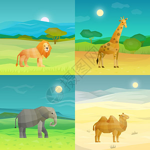 2个大象素材动物背景集多边形非洲动物2x2大象骆驼狮子长颈鹿的自然背景孤立矢量插图插画