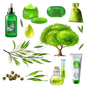 茶树系列产品茶树系列产品包括部分植物油滴肥皂奶油香囊分离矢量插图图片