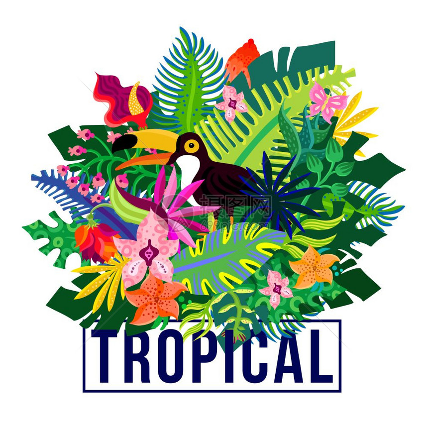 热带异国植物五颜六色的成热带岛屿动植物五颜六色的构图海报,带异国植物树叶兰花花卉矢量插图图片