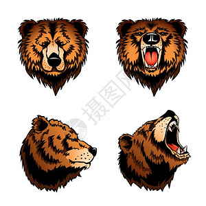 彩色熊头彩色集合四个熊头轮廓正视图的白色背景卡通矢量插图图片