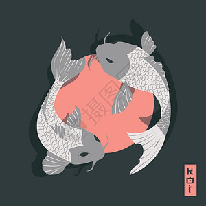 日式纹身两条鲤鱼锦鲤游过太阳,传统日式风格,矢量插图插画