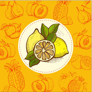 柠檬,石灰水果矢量插图水果手绘的手绘矢量插图图片