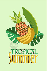热带夏季矢量插图与外来植物热带树叶多汁的菠萝香蕉背景图片