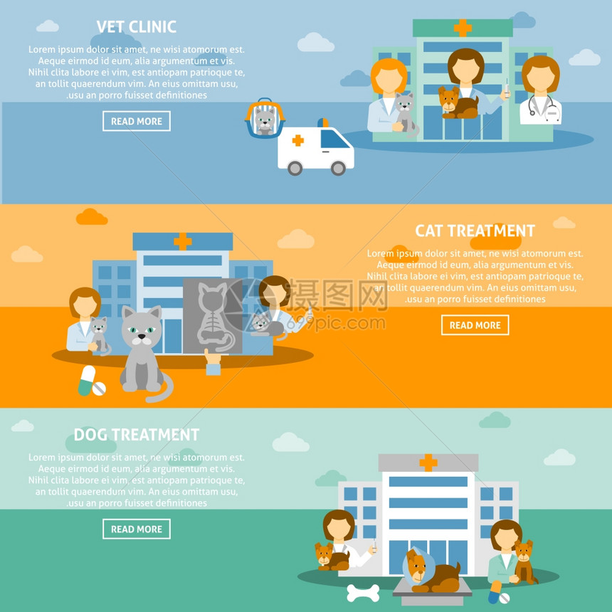 兽医宠物诊所水平横幅兽医诊所实践3互动水平网站横幅详细宠物治疗信息孤立矢量插图图片