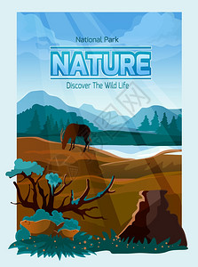 公园自然背景横幅公园野生生命装饰横幅与山脉背景动植物抽象矢量插图图片