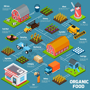 机食品等距流程图机食品生产工艺流程图与产品生长交付等距图标矢量图插画