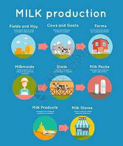 牛奶平牛奶生产与平乳制品生产图标矢量插图图片