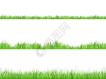 绿草平横横幅套最好看的草坪3理想的草高割平水平横幅抽象孤立矢量插图背景图片