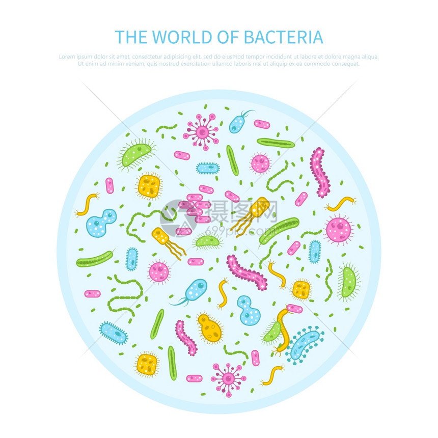 细菌插图同颜色的细菌培养璃平微生物学矢量插图图片