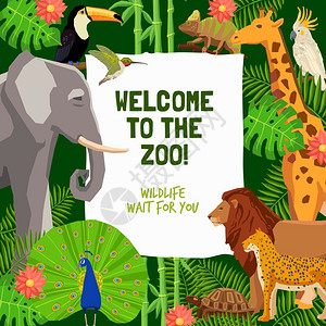 彩色海报邀请参观动物园彩色海报与热带动物邀请参观动物园平矢量插图图片