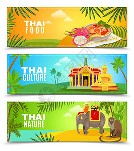 曼谷大象泰国水平横幅泰国的食品自然文化水平横幅为网页演示矢量插图插画