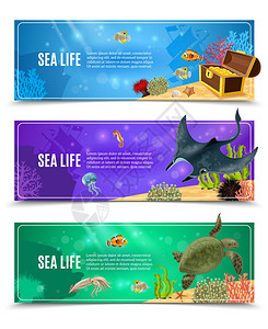 海上生活横幅套水下海洋生物的变体海底装饰横幅矢量插图背景图片