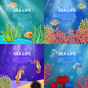 水母照片水下景观集同颜色动物矢量插图的水下景观变体插画