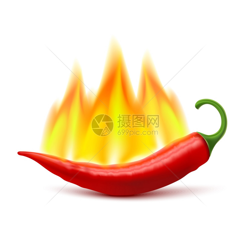 燃烧的辣椒豆荚图像火红辣椒豆荚形象辛辣世界最热食物成分的象征,现实的矢量插图图片