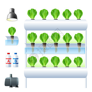 水培系统图标水培系统图标与设备必要的工具,植物栽培矢量插图图片