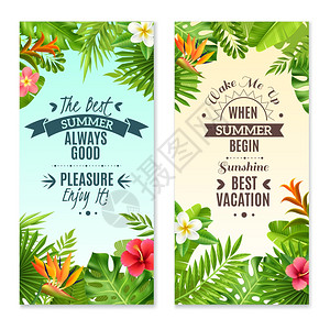 天堂岛热带植物2彩色度假横幅暑假热带雨林2垂直横幅与芙蓉鸟类天堂植物花卉孤立矢量插图插画