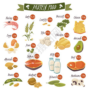 蛋白质丰富的食物平图标最佳蛋白质食品图标收集健康饮食与鲑鱼,豆类,杏仁鸡分离矢量插图背景图片