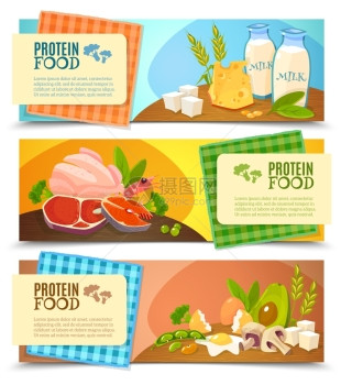 蛋白质食品平水平横幅健康饮食3水平平横幅信息的高蛋白食品抽象分离载体插图图片