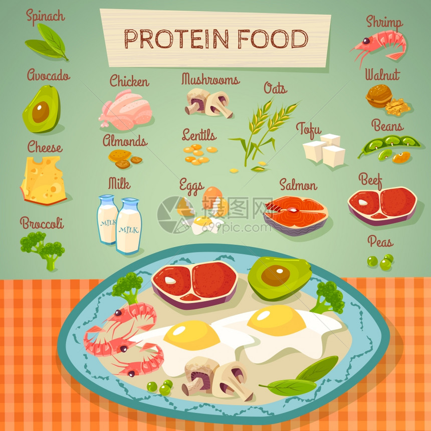 蛋白质食品生熟收集蛋白质丰富的食物平海报与肉蛋,乳制品蔬菜,生熟抽象矢量插图图片