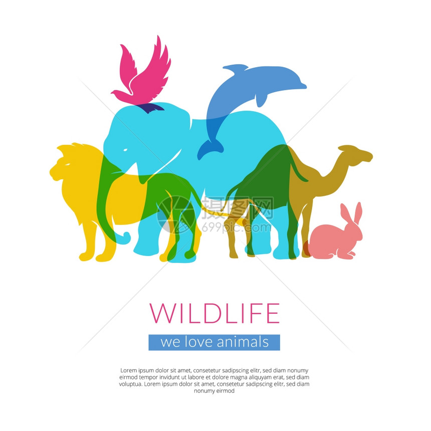 野生动物平剪影构图海报野生动物鸟类平彩色轮廓构图海报与大象狮子鹰骆驼矢量插图图片