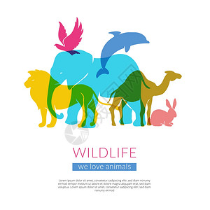 野生动物平剪影构图海报野生动物鸟类平彩色轮廓构图海报与大象狮子鹰骆驼矢量插图背景图片