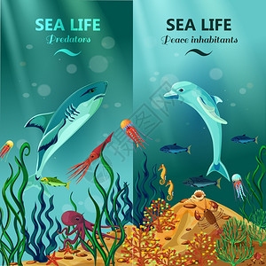 海底生活垂直横幅彩色垂直海洋生物横幅与平捕食者居民的水下珊瑚礁平矢量插图背景图片