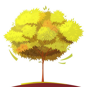 树卡通插图秋树与薄树干白色背景上平卡通孤立矢量插图图片