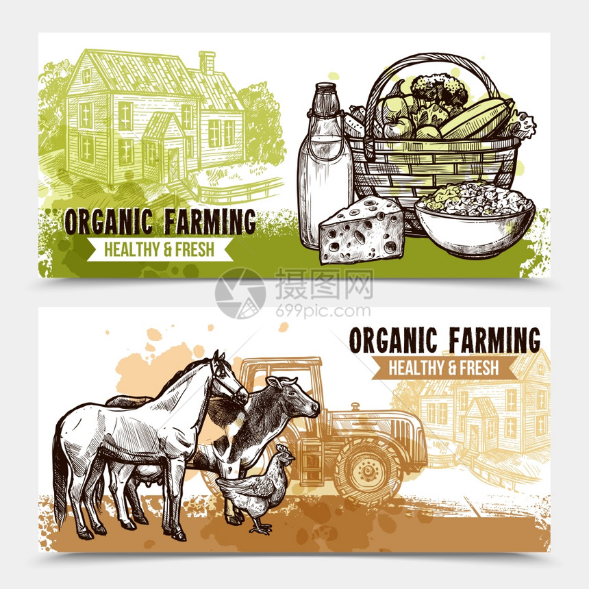 农场水平横幅机农业水平横幅与健康新鲜的食物,农舍农场动物白色背景素描手绘孤立矢量插图图片