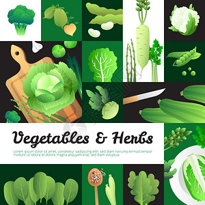 磨豆机石磨机绿色蔬菜横幅构图海报素食横幅构图海报与机新鲜卷心菜绿色蔬菜砧板矢量插图插画