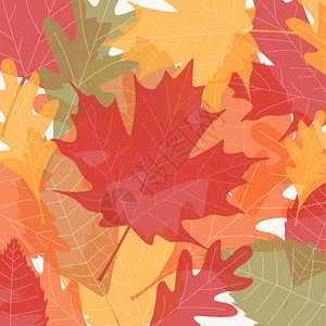 背景与秋叶背景可编辑矢量图片