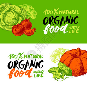 生态食品菜单横幅手绘草图蔬菜农贸市场海报刻字矢量插图图片