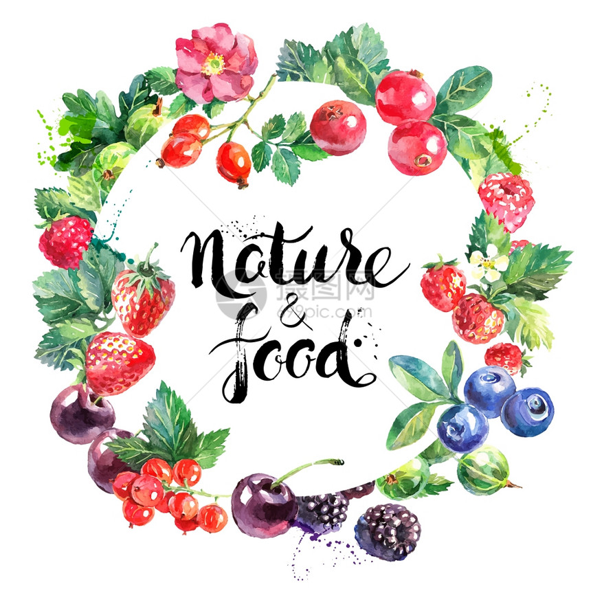 生态食品机咖啡馆菜单水彩手画自然新鲜水果浆果矢量插图白色背景图片