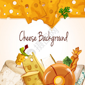 帕尔马湾天然美味的机奶酪食品分类彩色背景矢量插图插画