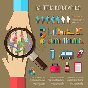 细菌信息集手放大镜医疗元素图表矢量插图图片