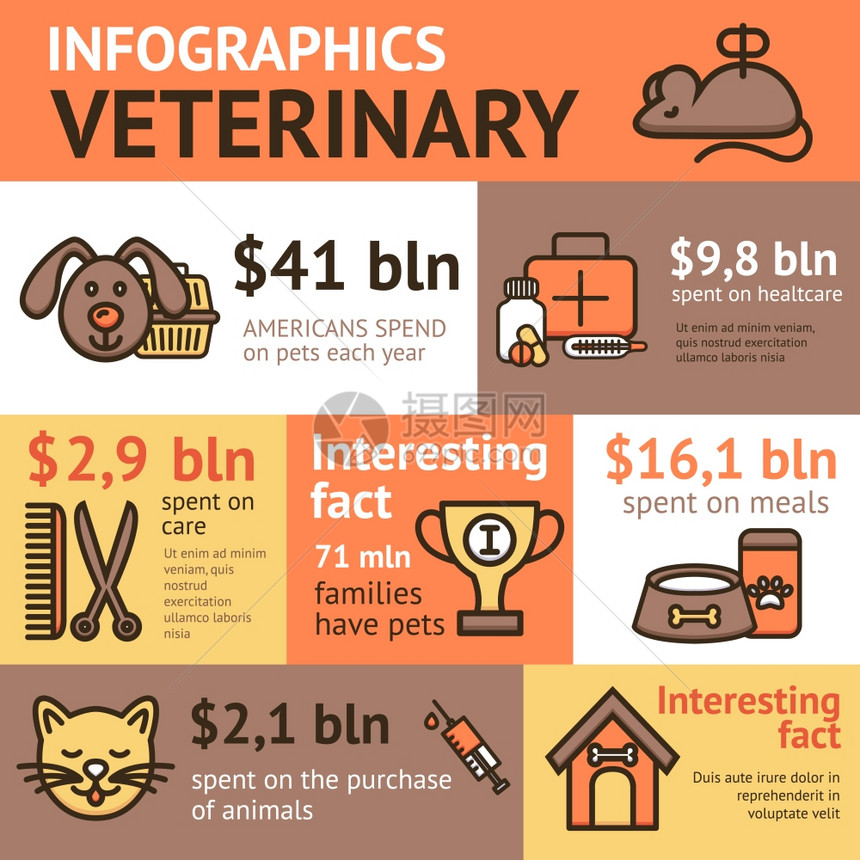 兽医信息图集与宠物健康动物医生元素矢量插图图片