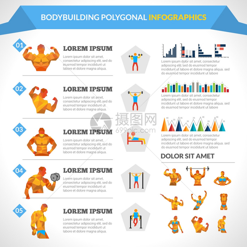 健美多边形信息与男女的数字图表矢量插图图片