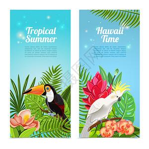 热带夏威夷群岛暑假2垂直横幅异国鹦鹉鸟类抽象孤立矢量插图热带岛屿鸟类垂直横幅插画
