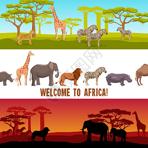 非洲大草原水平非洲动物横幅水平彩色非洲动物与树木横幅矢量插图插画