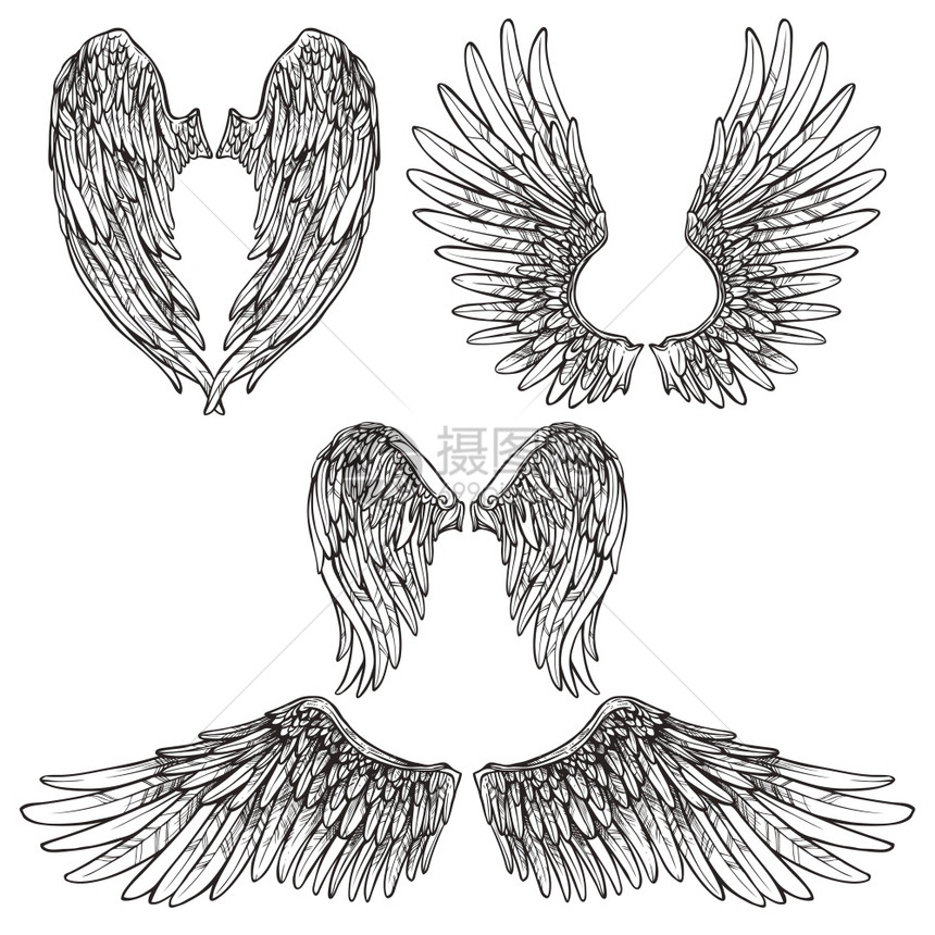 天鸟类翅膀抽象草图集孤立矢量插图翅膀草图集图片