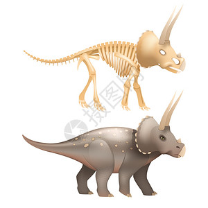 三龙龙艺术与骨骼生活三龙龙与骨骼史前艺术矢量插图图片