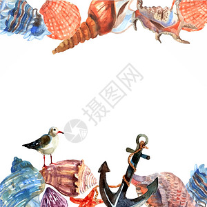带贝壳的边框船用壳锚边框海洋贝壳边界框架图案与锚海鸥海洋海岸抽象矢量插图插画