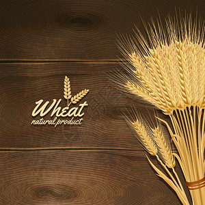 金色麦穗木桌背景矢量插图木制桌子上的小麦图片