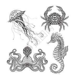 水母照片海洋涂鸦套装海马章鱼水母螃蟹涂鸦图标黑线抽象矢量孤立插图插画