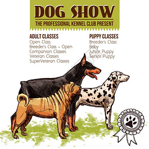 杜宾猎犬狗展示与素描杜伯曼达尔马提夏培剖矢量插图狗展示插图插画