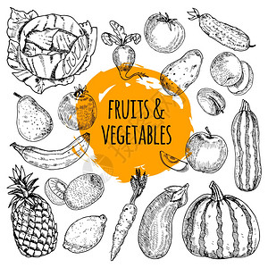 干蔬菜健康食品收集手画涂鸦健康食品象形图排列水果蔬菜收集手绘涂鸦风格抽象矢量插图插画