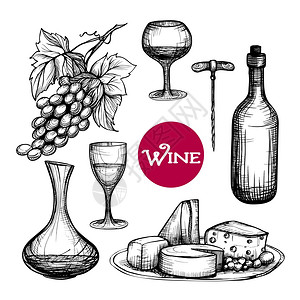 手绘葡萄酒与葡萄枝饮料瓶奶酪分离矢量插图手绘葡萄酒套装图片